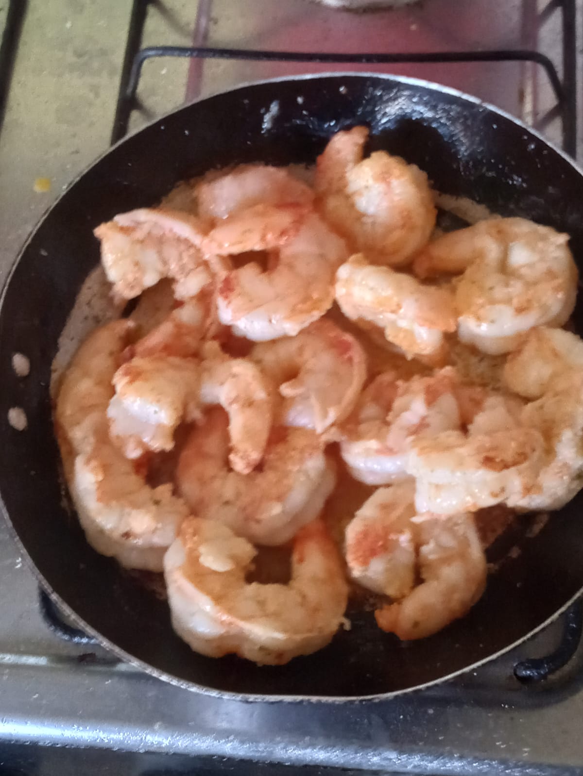 🦐 Camarão Paraense — Pousada Tia Neguinha